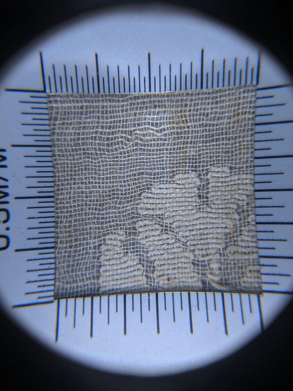 Detail of jamdani patterned muslin sari