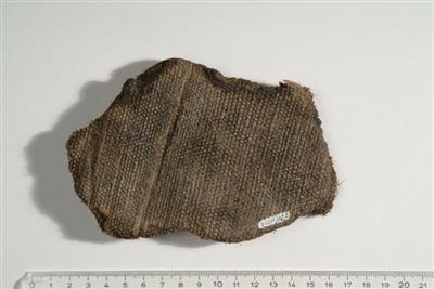 Fragment of sail cloth